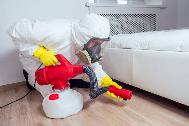 Best Affordable Pest Control Services  in Colwich, KS